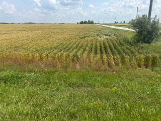 Property photo 33 - LAND AUCTION - 160+/- ACRES OFFERED IN 6 TRACTS IN ALLEN COUNTY INDIANA