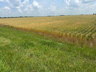 Property photo 45 - LAND AUCTION - 160+/- ACRES OFFERED IN 6 TRACTS IN ALLEN COUNTY INDIANA