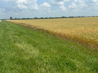 Property photo 46 - LAND AUCTION - 160+/- ACRES OFFERED IN 6 TRACTS IN ALLEN COUNTY INDIANA
