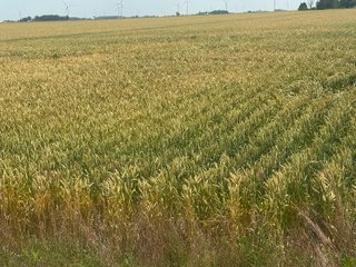 Property photo 48 - LAND AUCTION - 160+/- ACRES OFFERED IN 6 TRACTS IN ALLEN COUNTY INDIANA