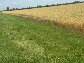 Property photo 49 - LAND AUCTION - 160+/- ACRES OFFERED IN 6 TRACTS IN ALLEN COUNTY INDIANA