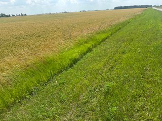 Property photo 50 - LAND AUCTION - 160+/- ACRES OFFERED IN 6 TRACTS IN ALLEN COUNTY INDIANA