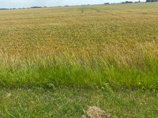 Property photo 51 - LAND AUCTION - 160+/- ACRES OFFERED IN 6 TRACTS IN ALLEN COUNTY INDIANA