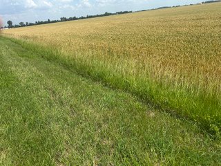Property photo 52 - LAND AUCTION - 160+/- ACRES OFFERED IN 6 TRACTS IN ALLEN COUNTY INDIANA