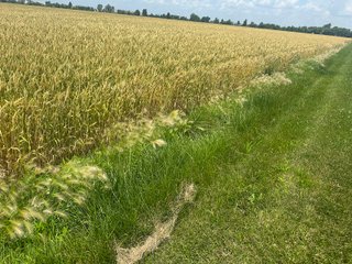 Property photo 55 - LAND AUCTION - 160+/- ACRES OFFERED IN 6 TRACTS IN ALLEN COUNTY INDIANA