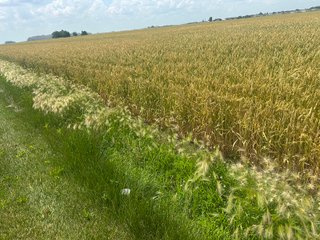 Property photo 32 - LAND AUCTION - 160+/- ACRES OFFERED IN 6 TRACTS IN ALLEN COUNTY INDIANA