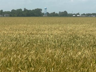 Property photo 44 - LAND AUCTION - 160+/- ACRES OFFERED IN 6 TRACTS IN ALLEN COUNTY INDIANA