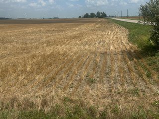 Property photo 16 - LAND AUCTION - 160+/- ACRES OFFERED IN 6 TRACTS IN ALLEN COUNTY INDIANA