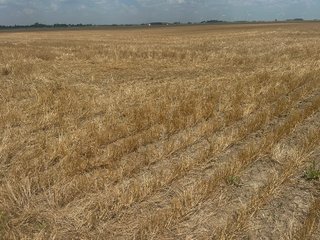 Property photo 15 - LAND AUCTION - 160+/- ACRES OFFERED IN 6 TRACTS IN ALLEN COUNTY INDIANA