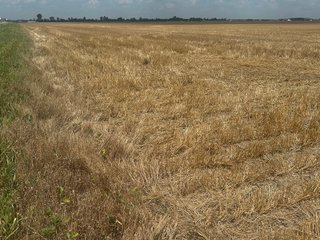 Property photo 14 - LAND AUCTION - 160+/- ACRES OFFERED IN 6 TRACTS IN ALLEN COUNTY INDIANA