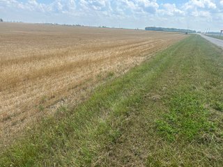 Property photo 13 - LAND AUCTION - 160+/- ACRES OFFERED IN 6 TRACTS IN ALLEN COUNTY INDIANA