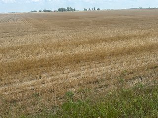 Property photo 12 - LAND AUCTION - 160+/- ACRES OFFERED IN 6 TRACTS IN ALLEN COUNTY INDIANA