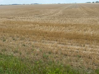 Property photo 11 - LAND AUCTION - 160+/- ACRES OFFERED IN 6 TRACTS IN ALLEN COUNTY INDIANA