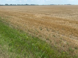 Property photo 10 - LAND AUCTION - 160+/- ACRES OFFERED IN 6 TRACTS IN ALLEN COUNTY INDIANA