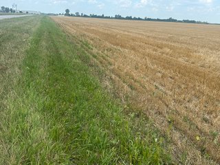 Property photo 9 - LAND AUCTION - 160+/- ACRES OFFERED IN 6 TRACTS IN ALLEN COUNTY INDIANA