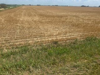 Property photo 8 - LAND AUCTION - 160+/- ACRES OFFERED IN 6 TRACTS IN ALLEN COUNTY INDIANA