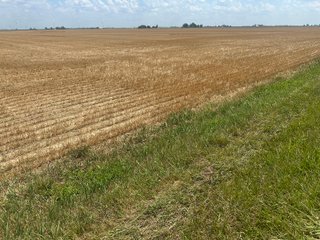 Property photo 7 - LAND AUCTION - 160+/- ACRES OFFERED IN 6 TRACTS IN ALLEN COUNTY INDIANA