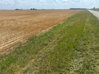 Property photo 6 - LAND AUCTION - 160+/- ACRES OFFERED IN 6 TRACTS IN ALLEN COUNTY INDIANA