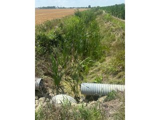 Property photo 3 - LAND AUCTION - 160+/- ACRES OFFERED IN 6 TRACTS IN ALLEN COUNTY INDIANA