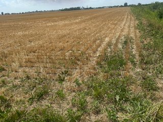 Property photo 25 - LAND AUCTION - 160+/- ACRES OFFERED IN 6 TRACTS IN ALLEN COUNTY INDIANA