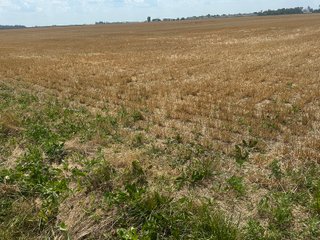 Property photo 4 - LAND AUCTION - 160+/- ACRES OFFERED IN 6 TRACTS IN ALLEN COUNTY INDIANA