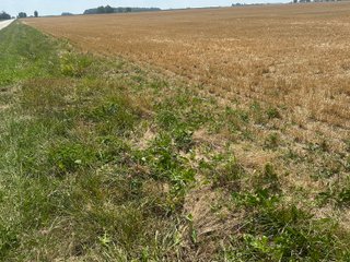 Property photo 31 - LAND AUCTION - 160+/- ACRES OFFERED IN 6 TRACTS IN ALLEN COUNTY INDIANA