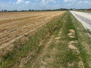 Property photo 30 - LAND AUCTION - 160+/- ACRES OFFERED IN 6 TRACTS IN ALLEN COUNTY INDIANA