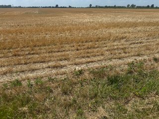 Property photo 29 - LAND AUCTION - 160+/- ACRES OFFERED IN 6 TRACTS IN ALLEN COUNTY INDIANA