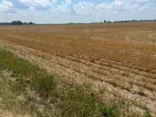 Property photo 27 - LAND AUCTION - 160+/- ACRES OFFERED IN 6 TRACTS IN ALLEN COUNTY INDIANA