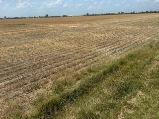 Property photo 19 - LAND AUCTION - 160+/- ACRES OFFERED IN 6 TRACTS IN ALLEN COUNTY INDIANA