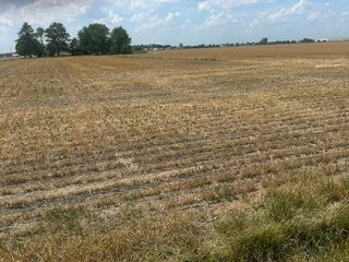 Property photo 24 - LAND AUCTION - 160+/- ACRES OFFERED IN 6 TRACTS IN ALLEN COUNTY INDIANA