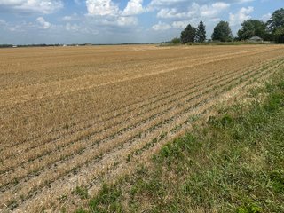 Property photo 23 - LAND AUCTION - 160+/- ACRES OFFERED IN 6 TRACTS IN ALLEN COUNTY INDIANA