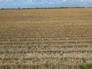Property photo 22 - LAND AUCTION - 160+/- ACRES OFFERED IN 6 TRACTS IN ALLEN COUNTY INDIANA