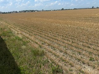 Property photo 21 - LAND AUCTION - 160+/- ACRES OFFERED IN 6 TRACTS IN ALLEN COUNTY INDIANA