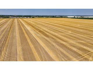 Property photo 35 - LAND AUCTION - 160+/- ACRES OFFERED IN 6 TRACTS IN ALLEN COUNTY INDIANA