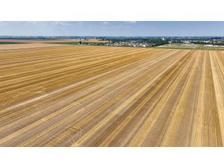 Property photo 36 - LAND AUCTION - 160+/- ACRES OFFERED IN 6 TRACTS IN ALLEN COUNTY INDIANA
