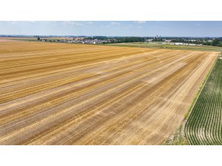 Property photo 39 - LAND AUCTION - 160+/- ACRES OFFERED IN 6 TRACTS IN ALLEN COUNTY INDIANA