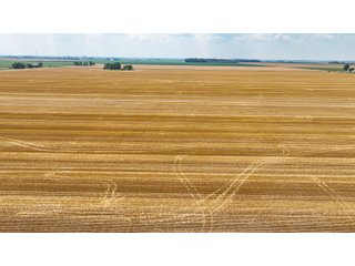 Property photo 40 - LAND AUCTION - 160+/- ACRES OFFERED IN 6 TRACTS IN ALLEN COUNTY INDIANA