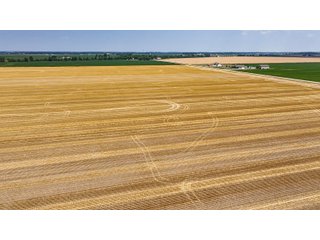 Property photo 41 - LAND AUCTION - 160+/- ACRES OFFERED IN 6 TRACTS IN ALLEN COUNTY INDIANA