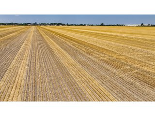 Property photo 42 - LAND AUCTION - 160+/- ACRES OFFERED IN 6 TRACTS IN ALLEN COUNTY INDIANA