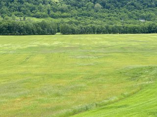 Property photo 49 - REAL ESTATE AUCTION - 238+/- ACRES OFFERED IN 7 TRACTS IN DEARBORN COUNTY INDIANA