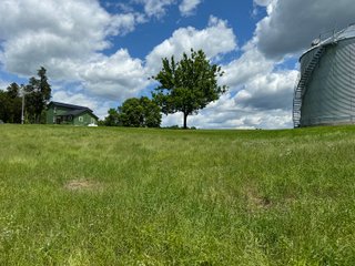 Property photo 77 - REAL ESTATE AUCTION - 238+/- ACRES OFFERED IN 7 TRACTS IN DEARBORN COUNTY INDIANA