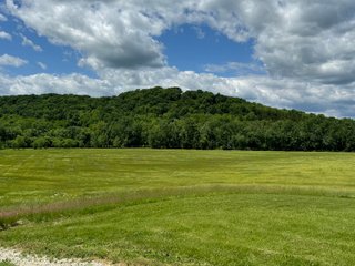 Property photo 82 - REAL ESTATE AUCTION - 238+/- ACRES OFFERED IN 7 TRACTS IN DEARBORN COUNTY INDIANA