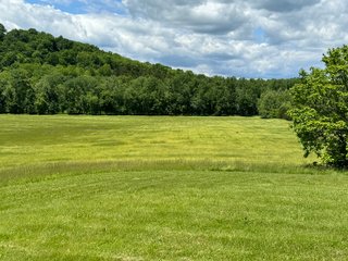 Property photo 2 - REAL ESTATE AUCTION - 238+/- ACRES OFFERED IN 7 TRACTS IN DEARBORN COUNTY INDIANA