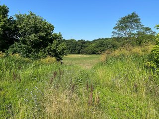 Property photo 4 - REAL ESTATE AUCTION - 238+/- ACRES OFFERED IN 7 TRACTS IN DEARBORN COUNTY INDIANA
