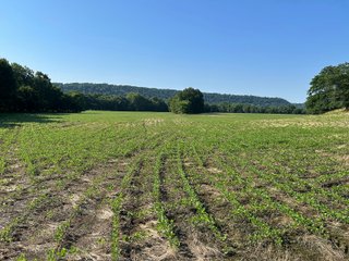Property photo 7 - REAL ESTATE AUCTION - 238+/- ACRES OFFERED IN 7 TRACTS IN DEARBORN COUNTY INDIANA