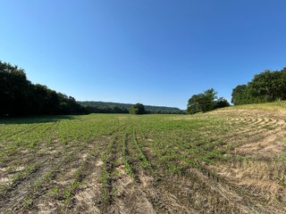 Property photo 8 - REAL ESTATE AUCTION - 238+/- ACRES OFFERED IN 7 TRACTS IN DEARBORN COUNTY INDIANA