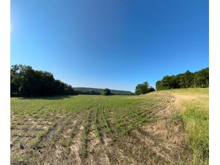Property photo 9 - REAL ESTATE AUCTION - 238+/- ACRES OFFERED IN 7 TRACTS IN DEARBORN COUNTY INDIANA