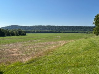 Property photo 12 - REAL ESTATE AUCTION - 238+/- ACRES OFFERED IN 7 TRACTS IN DEARBORN COUNTY INDIANA