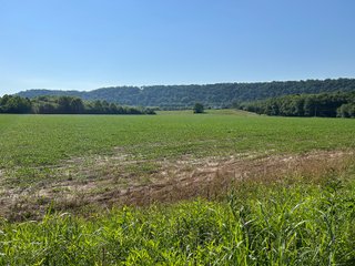 Property photo 16 - REAL ESTATE AUCTION - 238+/- ACRES OFFERED IN 7 TRACTS IN DEARBORN COUNTY INDIANA